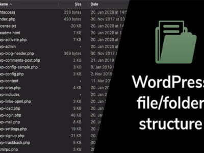 Wordpress File Folder Structure