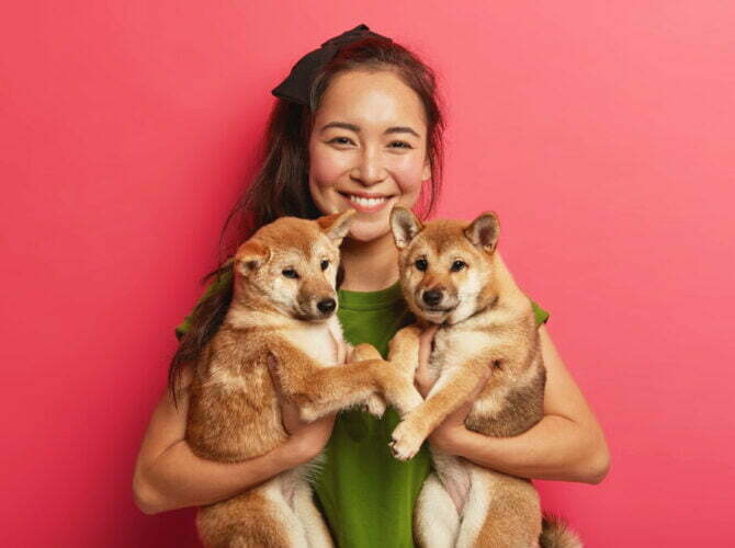 Finding Your Furry Friend: Tips for Selecting the Perfect Pet for Your Lifestyle