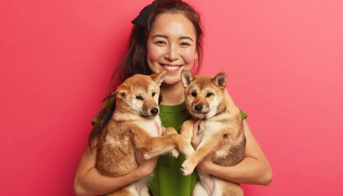 Finding Your Furry Friend: Tips for Selecting the Perfect Pet for Your Lifestyle