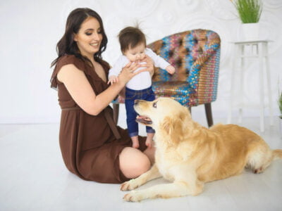 Preparing Your Pets for a New Family Member: Ensuring Harmony at Home