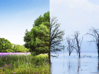 How Air Pollution and Climate Change Can Damage Your Skin