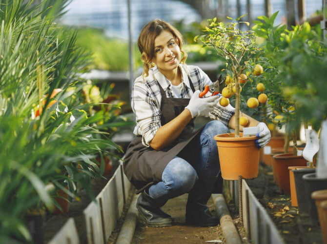 Unwind and De-stress: 8 Relaxing Hobbies to Enjoy in Your Free Time