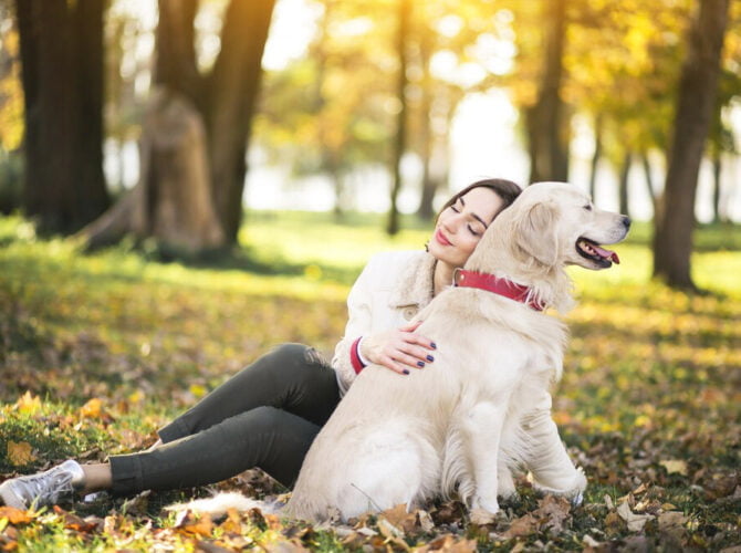 Loyal Companions: Exploring the Bond Between Humans and Dogs
