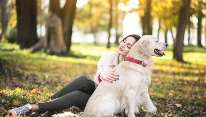 Loyal Companions: Exploring the Bond Between Humans and Dogs