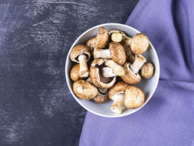 Indulge in the Delightful Immunity Boost of Mushroom Chocolate