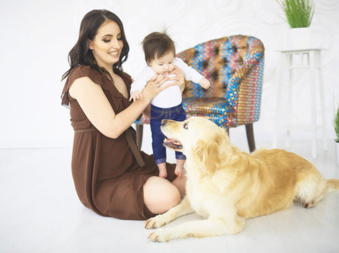 Before the Stork Arrives: Steps to Prepare Your Pets for a New Baby