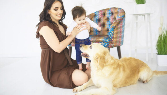 Before the Stork Arrives: Steps to Prepare Your Pets for a New Baby