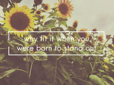 The Transformative Power of Quotes: How Words Can Shape Your Life