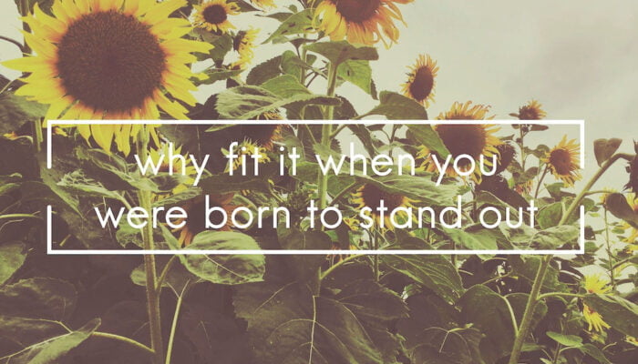 The Transformative Power of Quotes: How Words Can Shape Your Life