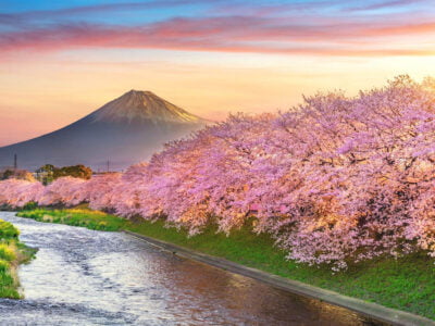 Embracing Spring: The Season of Rebirth and Flourishing