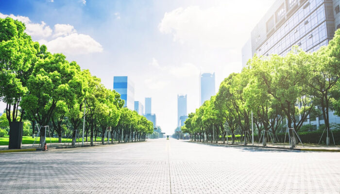 Green City Revolution: Turning Urban Areas Eco-Friendly