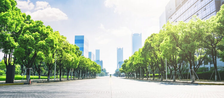 Green City Revolution: Turning Urban Areas Eco-Friendly