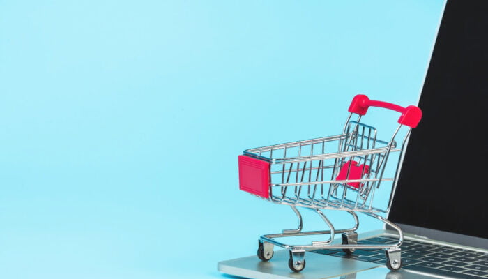 Riding the E-commerce Wave: Integrating Online Sales with Your New Shop