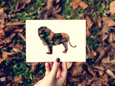Could You Be a Lion? How to Know Your Inner Animal