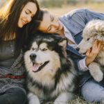 Unwavering Loyalty and Unmatched Joy: Why Dogs Reign Supreme on My List of Favorite Animals