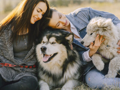 Unwavering Loyalty and Unmatched Joy: Why Dogs Reign Supreme on My List of Favorite Animals